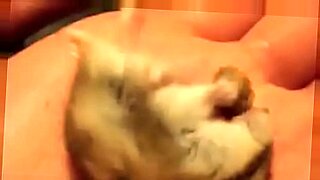 nude hamster sex video